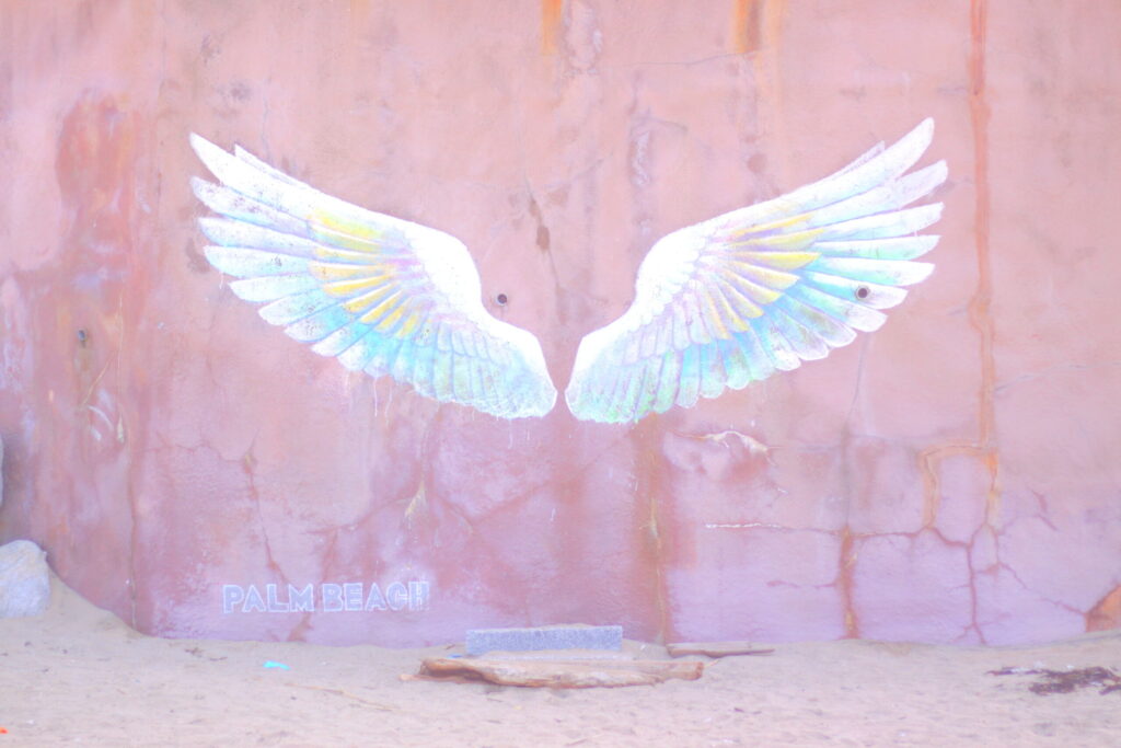 天使の羽